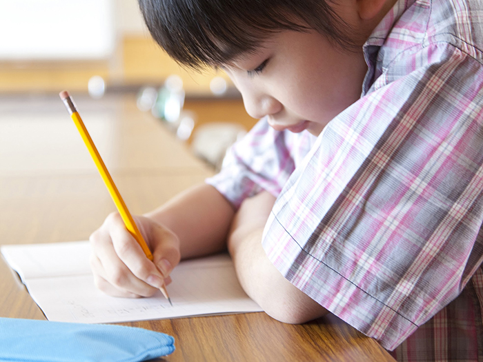 勉強をする小学生